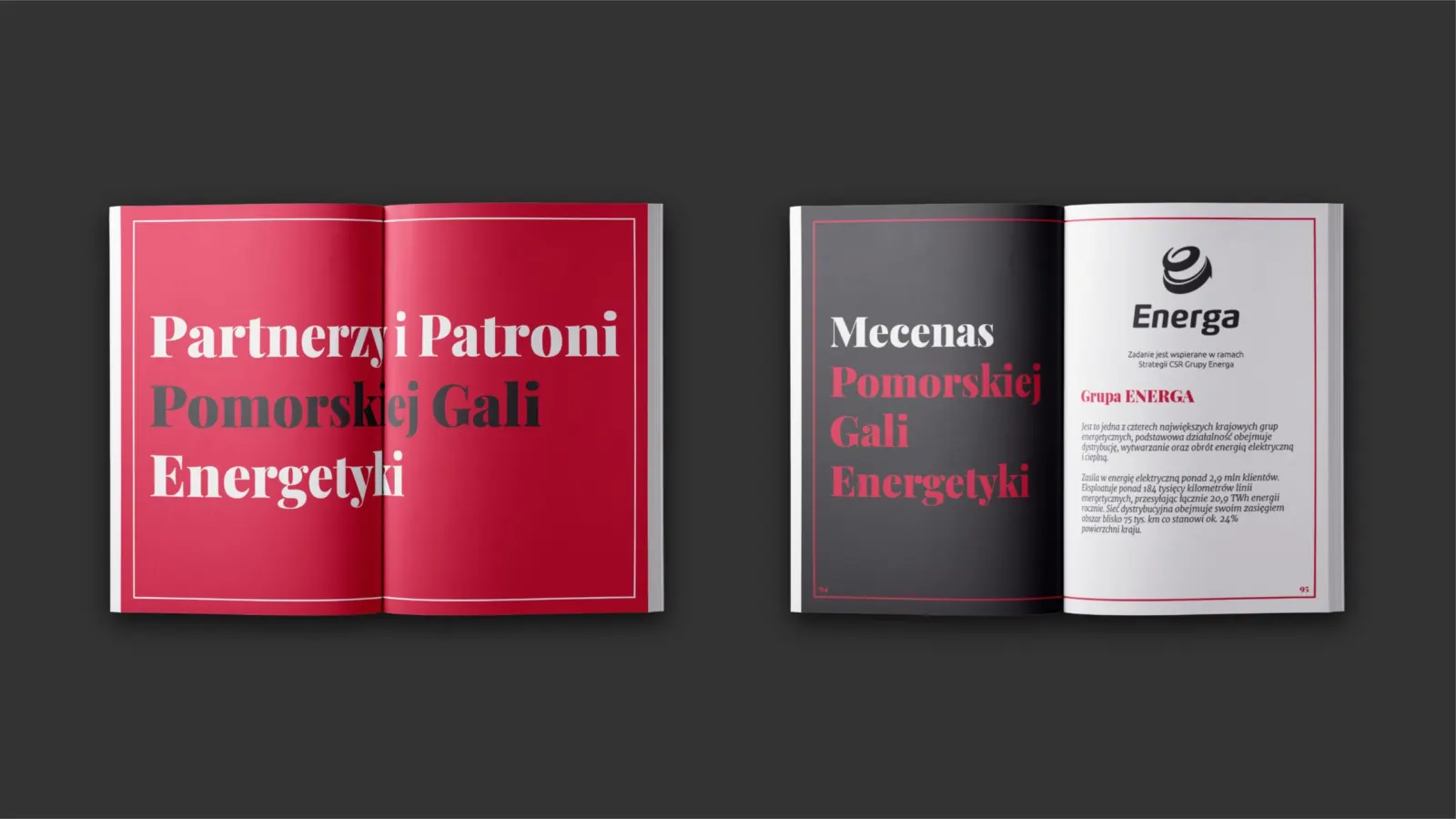 Pomeranian Energy Gala, project image 25