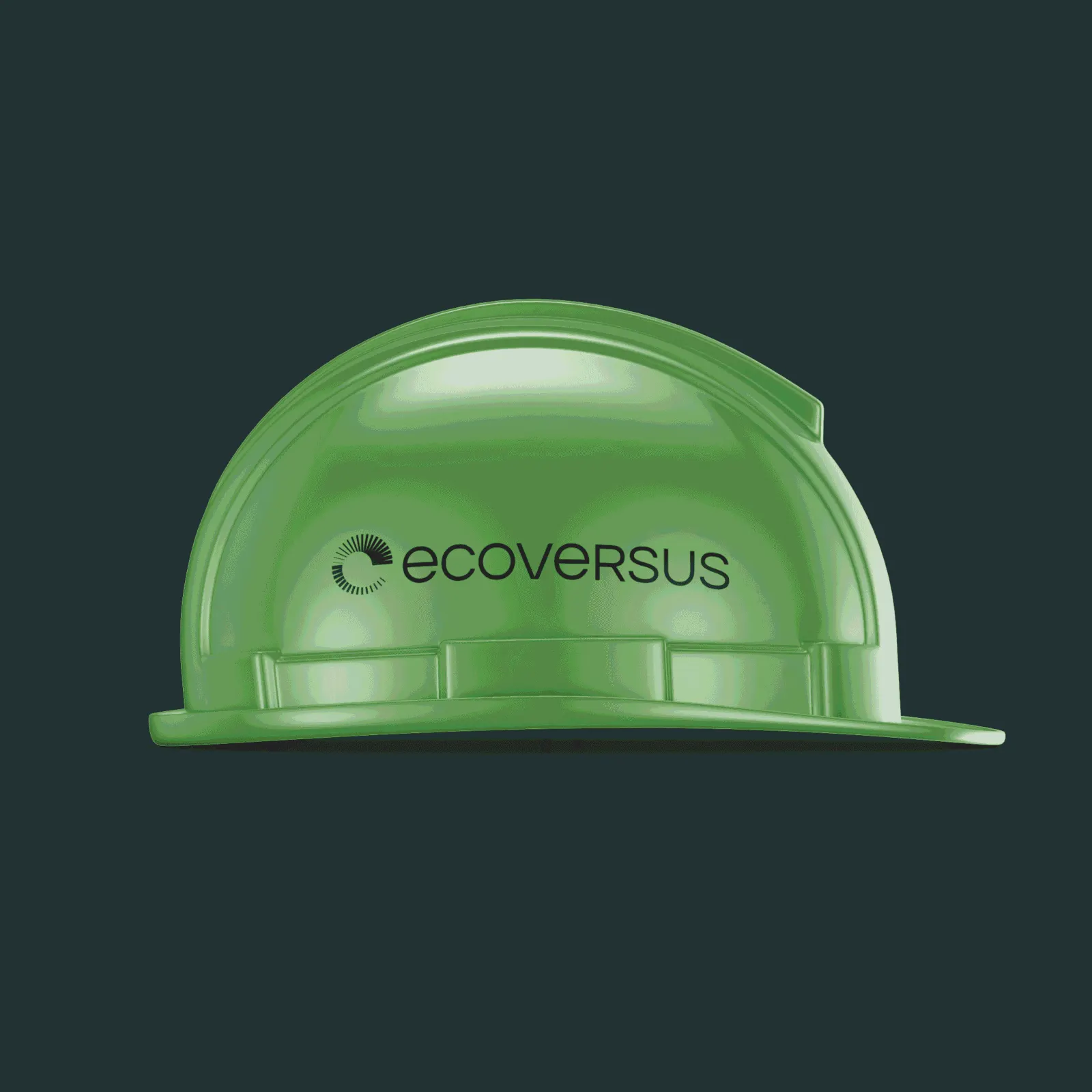 ecoversus, Projektbild 10