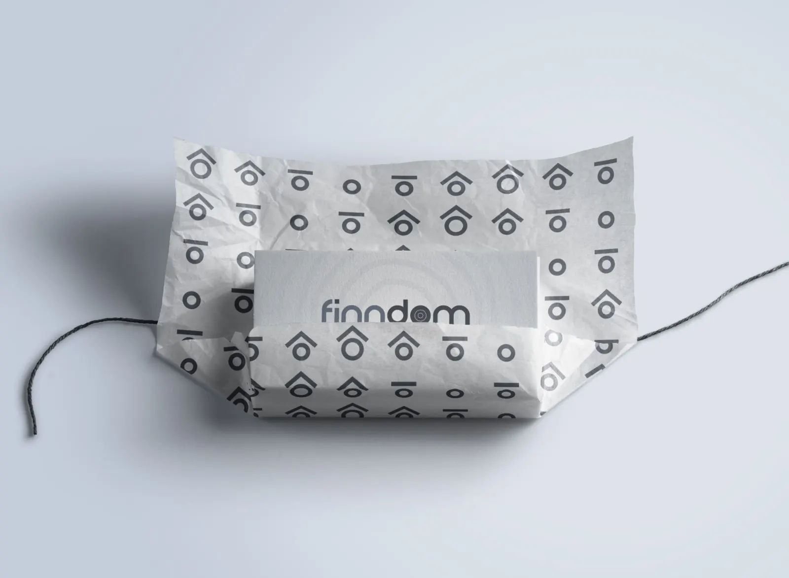 finndom, Projektbild 6