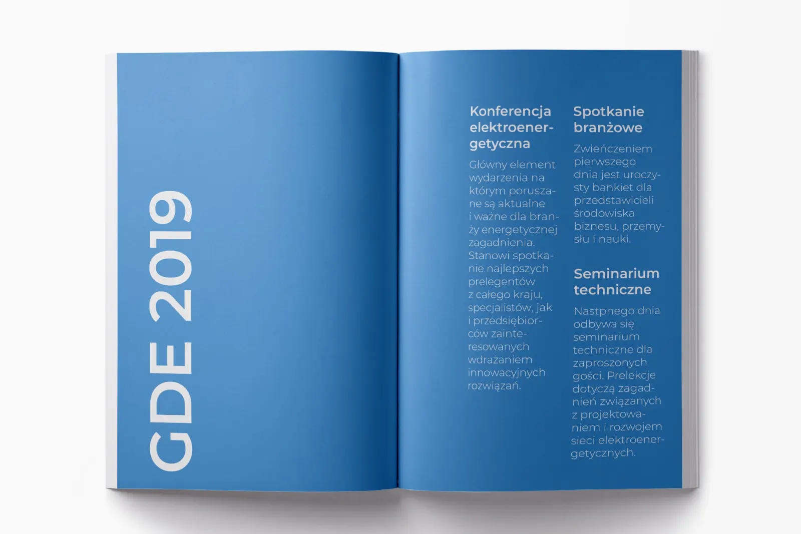 Gdańskie Dni Elektryki 2019, realizacja 11
