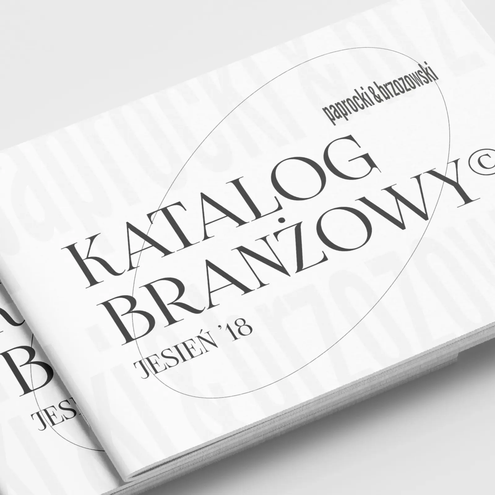 Paprocki & Brzozowski, immagine del progetto 2